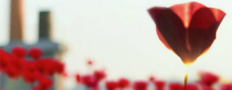 杭州創(chuàng)意海報設(shè)計公司的禪意美學