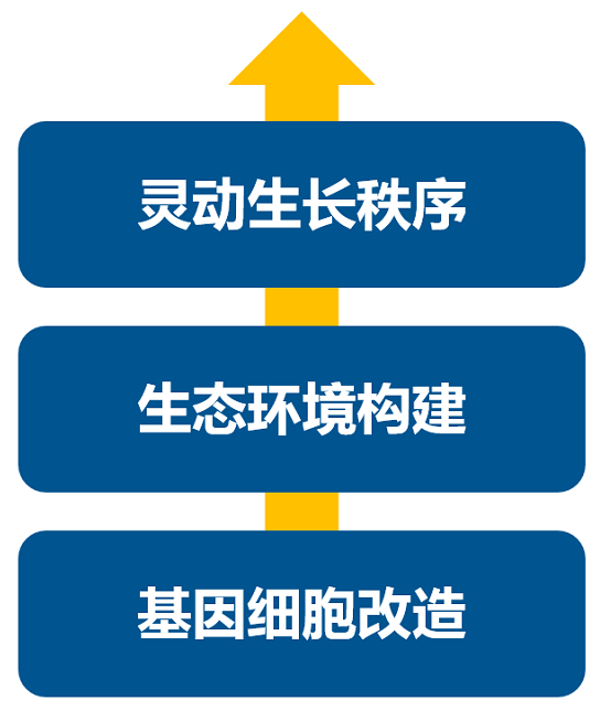 消費(fèi)升級(jí)大時(shí)代，品牌如何進(jìn)行戰(zhàn)略升級(jí)？