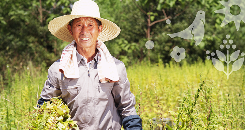品牌形象vi設計公司是怎么進行食品品牌形象設計的?