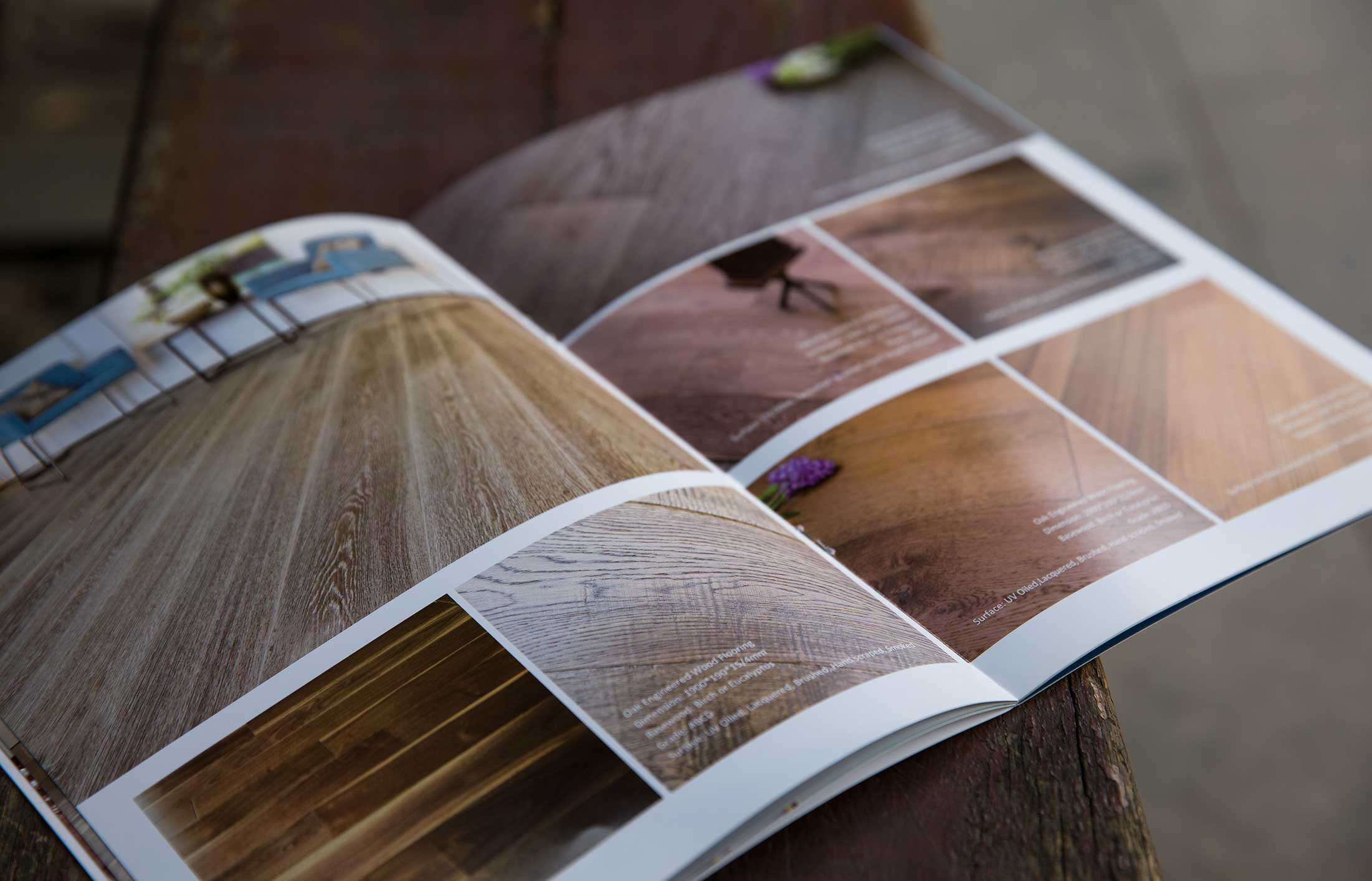 公司宣傳冊樣本設計編輯什么內容合適？