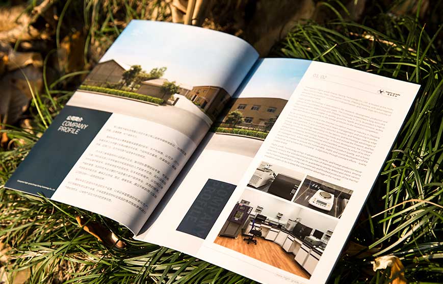 奧運——企業的營銷平臺