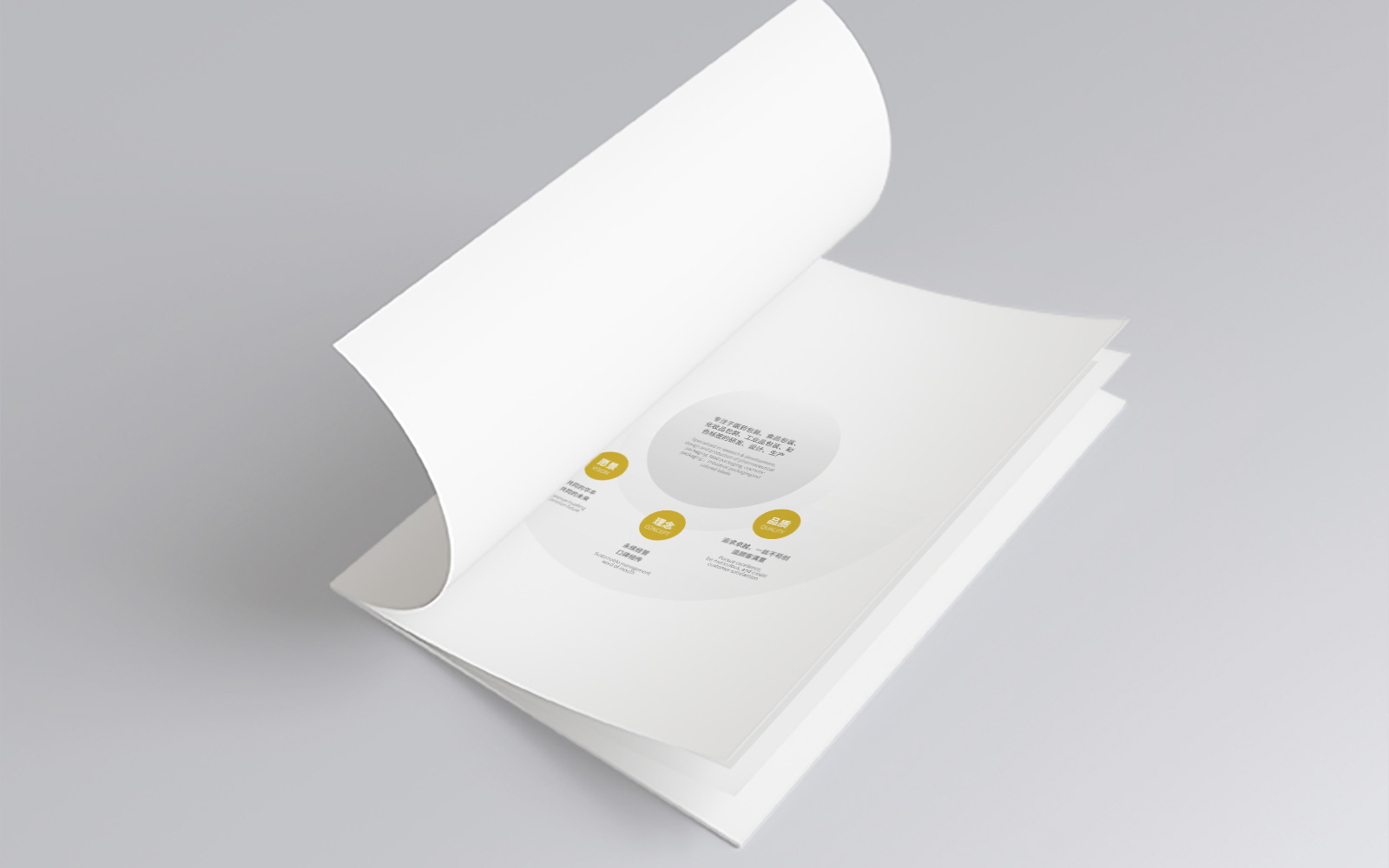 1608866769711355.jpg 3.jpg