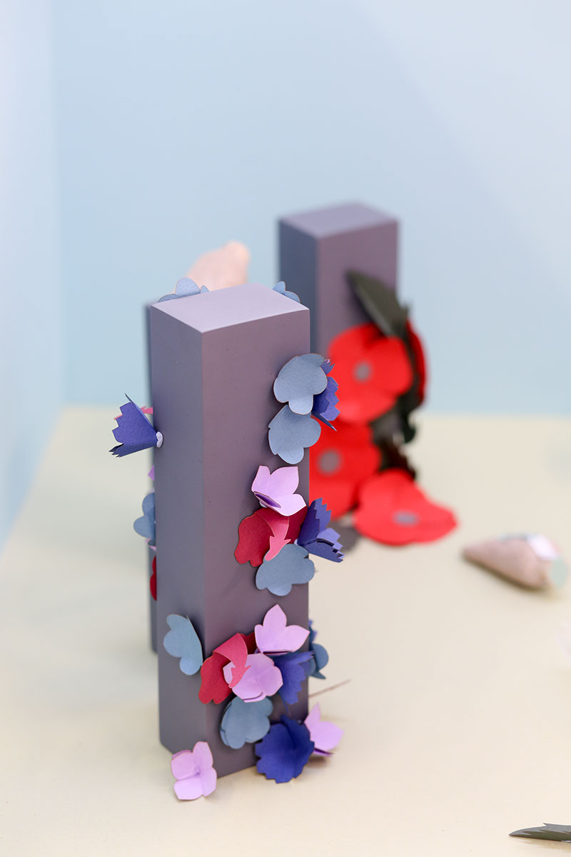 草甸種子創(chuàng)意包裝設(shè)計 草甸種子創(chuàng)意包裝設(shè)計