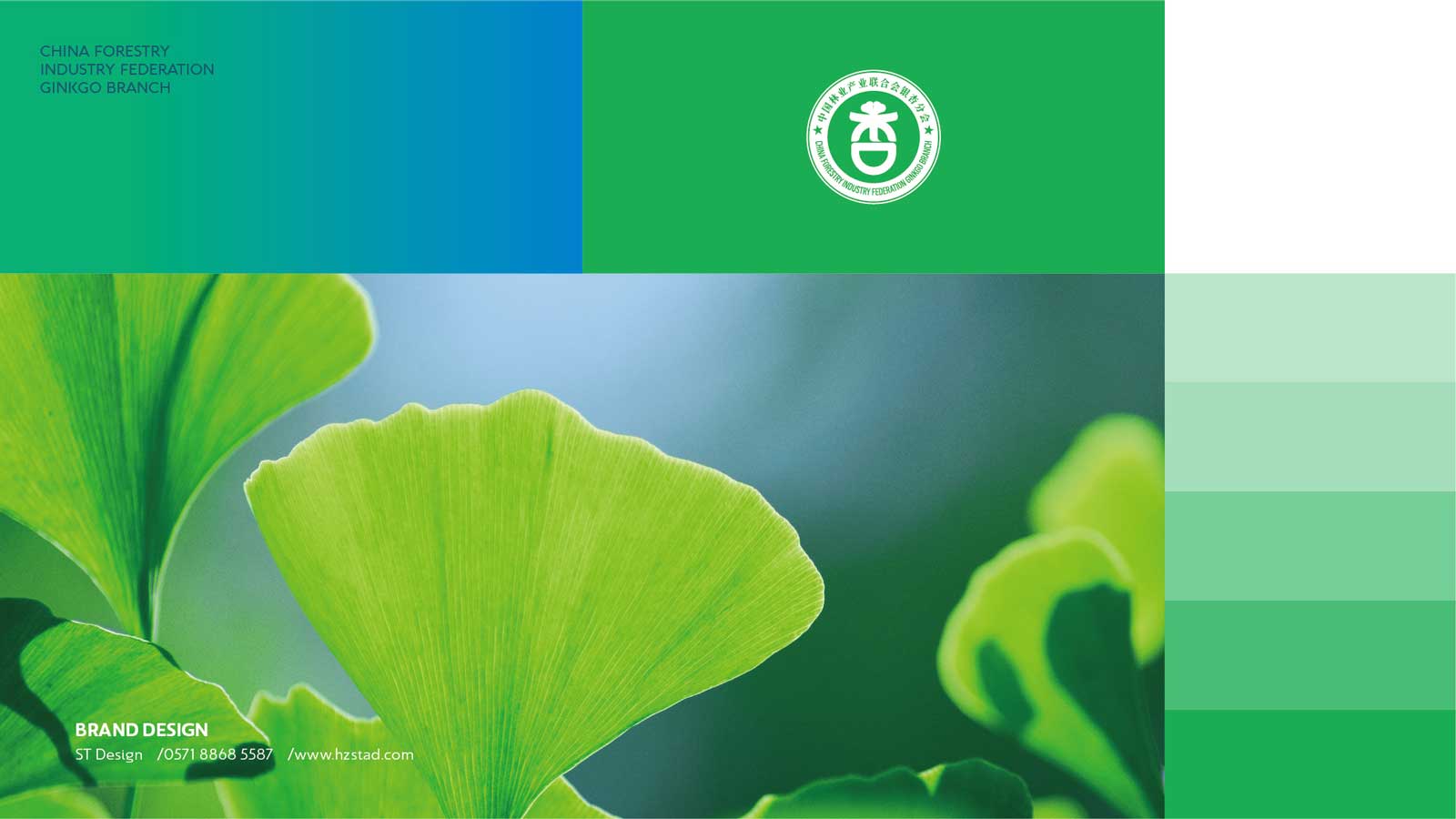 1627373092900562.jpg 1623109537187718.jpg