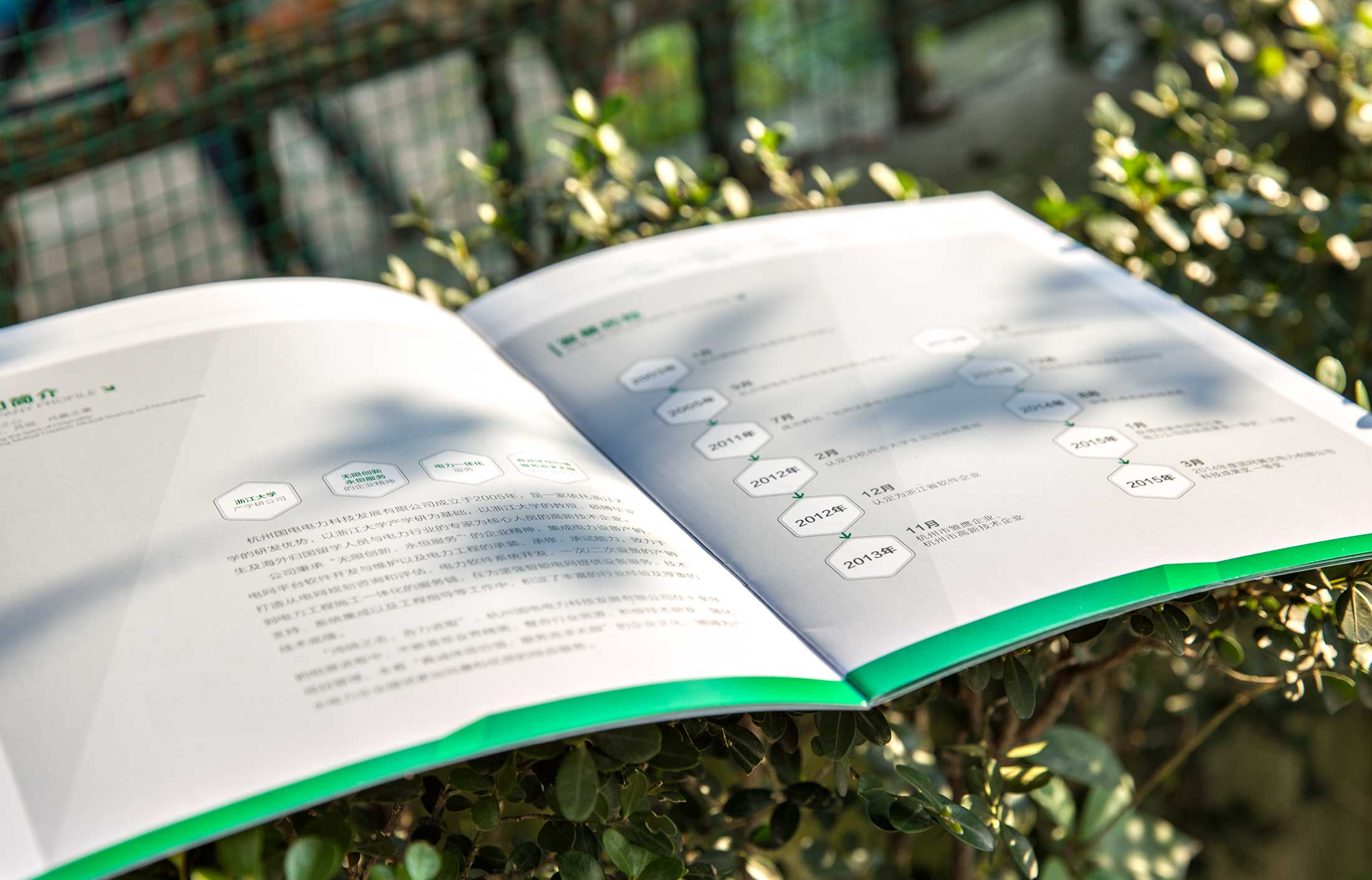 1627720928399333.jpg 32224584.JPG