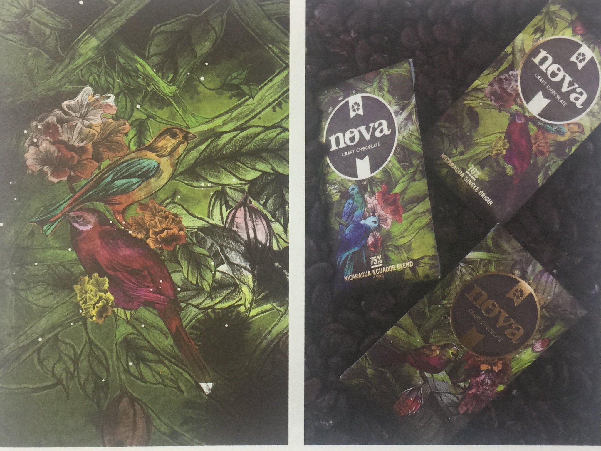 天然、綠色的休閑食品巧克力包裝設(shè)計(jì)