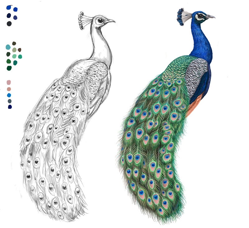 自然界野生動物來體現化妝品的純天然—護膚品包裝設計