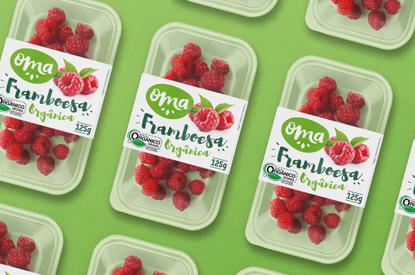 覆盆子包裝設(shè)計(jì) 覆盆子包裝設(shè)計(jì)