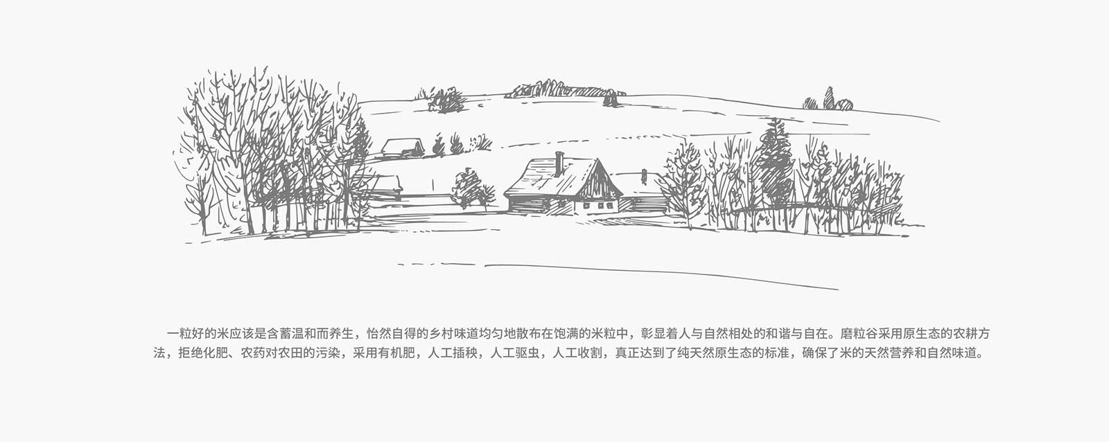 1562677241201747.jpg 吉林大米-磨粒谷